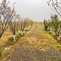 باغ زمین ۳۷۰۰ متری|فروش زمین و ملک کلنگی|قره قوین, |دیوار