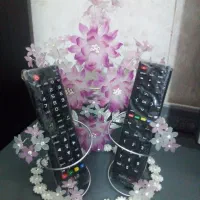 گلهای تزیینی