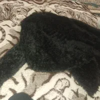 کت بانخ ابریشم