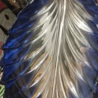 دیس ابی عتیقه