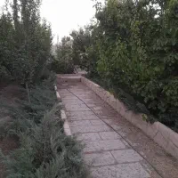 باغ باغچه و زمین کشاورزی و ویلا