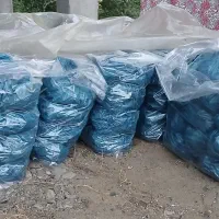 زغال|عمده‌فروشی|رشت, آب آسیاب|دیوار