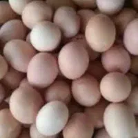 تخم مرغ محلی کلاله