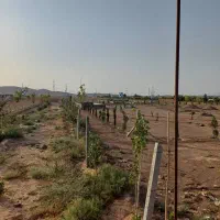 زمین باغی دارای مجوز جهاد|فروش زمین و ملک کلنگی|رباطکریم, الارد|دیوار