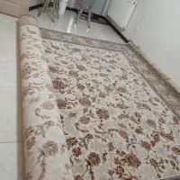 فروش فرش 12 متری افشان کرم رنگ|فرش|شیراز, تندگویان|دیوار