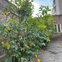 640متر-دوکله-تک-مالک-کارگر