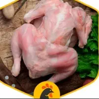 مرغ تلفاتی درشت