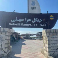 گردش جزیره قشم|تور و چارتر|درگهان, |دیوار