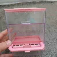 دون خوری ،عروس هلندی،مرغ عشق ،قناری،برزیلی|لوازم جانبی حیوانات|شاهین‌شهر, گرگاب|دیوار