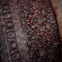 فرش۱۲ متری ارم کاشان|فرش|اردبیل, |دیوار