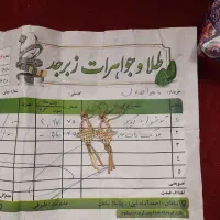 گوشواره طلا بدون اجرت