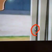 تلفزیون|تلویزیون و پروژکتور|مریوان, |دیوار