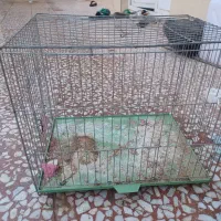 قفس و وسایل پرنده معاوضه با انگشترنقره