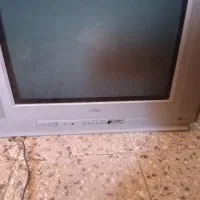 تلوزیون