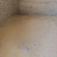 جو دیم آب خورده درجه یک|خدمات باغبانی و درختکاری|لردگان, |دیوار