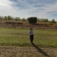 فروش یونجه جزئی و عمده|عمدهفروشی|دشتابی, |دیوار