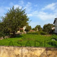 فروش-فوری-زمین-ساخت-در-منطقه-جنگلی