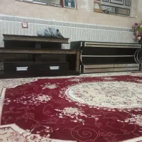 زیر تلویزیونی