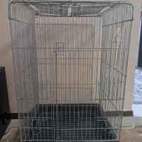 قفس عروس هلندی