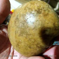 سنگ زیبای کلکسیونی|کلکسیون اشیاء عتیقه|ساری, |دیوار