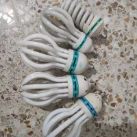 لامپ بزرگ