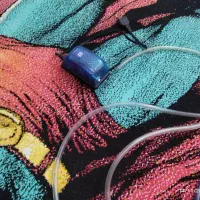 آکواریوم|ماهی|زاهدان, |دیوار