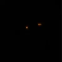 تعویض و ترمیم سپر در محل