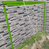 دار تابلوفرش قالی