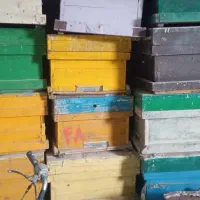 کندو|لوازم جانبی حیوانات|سیوان, |دیوار