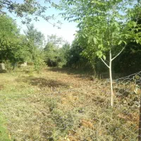 فروش-زمین-مسکونی-چالکسر