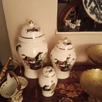 سه عدد جینجر نو فروشی