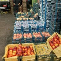 میوه تره بار و سبزیجات تازه|عمدهفروشی|سلفچگان, |دیوار