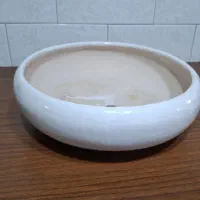 گلدان سرامیکی سفید مدل بونسای