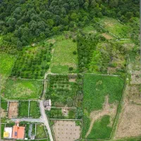 ۵۰۰میلیون/۲۵۰متری منطقه نعمت اباد پلاک جنگلی