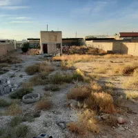 فروش-گاوداری