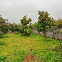 اونایی-که-دنبال-زمین-قیمت-مناسبن-ش-مال