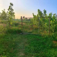 فروش فوری250متر  زمین باغی