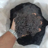 چای بهاره لاهیجان فروش عمده
