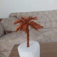 درخت مسی وبنسای