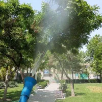 باغبانی و درختکاری (سم پاشی )|خدمات باغبانی و درختکاری|تهران, ونک|دیوار