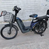 موتور برقی و پدالی