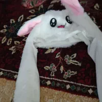 وسایل|حراج|جوانرود, |دیوار