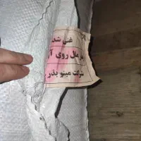 بذر گندم مادری پلمپ رقم پایا|گل و گیاه طبیعی|گنبد کاووس, |دیوار