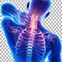 کاردرمانی و فیزیوتراپی در منزل