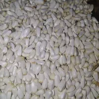 ارزن ریز|لوازم جانبی حیوانات|اصفهان, جاوان|دیوار