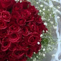 رز طبیعی فقط و فقط 50 تومان