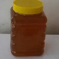 فروش عسل کُنار وگَوَن ارگانیک به صورت عمده و خرده