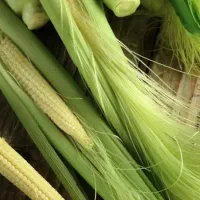 بچه بلال با کیفیت