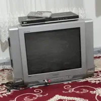 تلویزیون
