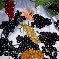 گل و میوه مصنوعی متنوع|گل مصنوعی|دماوند, گیلاوند|دیوار